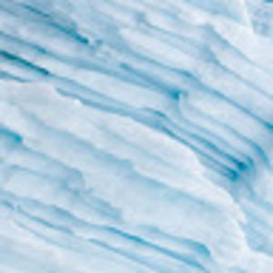 Meet your Posher, Delaney